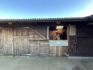 Photo 3- click for photo gallery